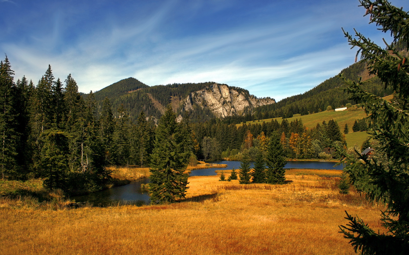 WNBA联赛裁判判罚引发热议,nba比赛裁判