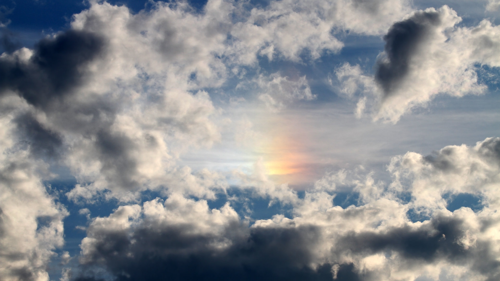 开云体育下载官网-球迷对赛事关注度提升，热情高涨，球迷群体