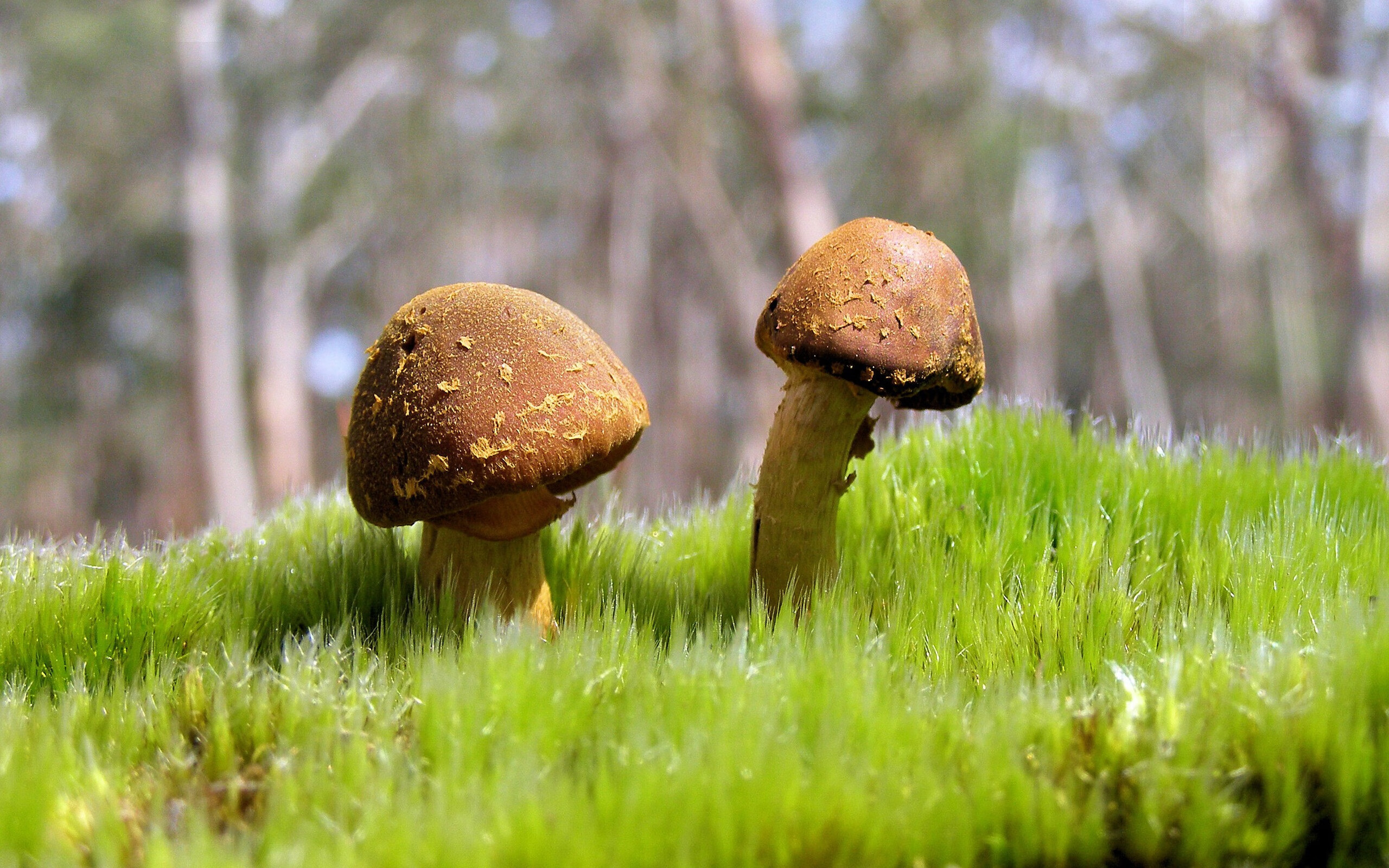 开云体育娱乐app安全-中方划水精度评分三年上升7%