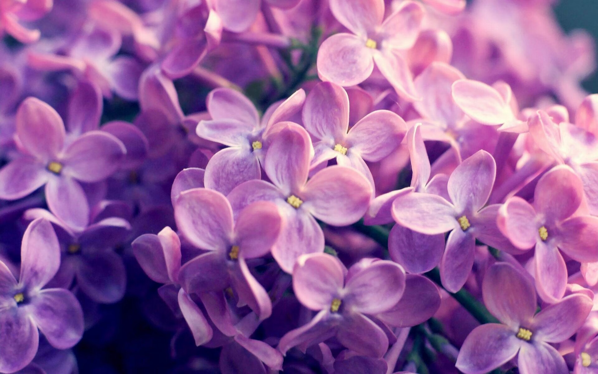 开云娱乐app安全登录-曼联边后卫助攻频繁拉开宽度，曼联史上十大最强边后卫