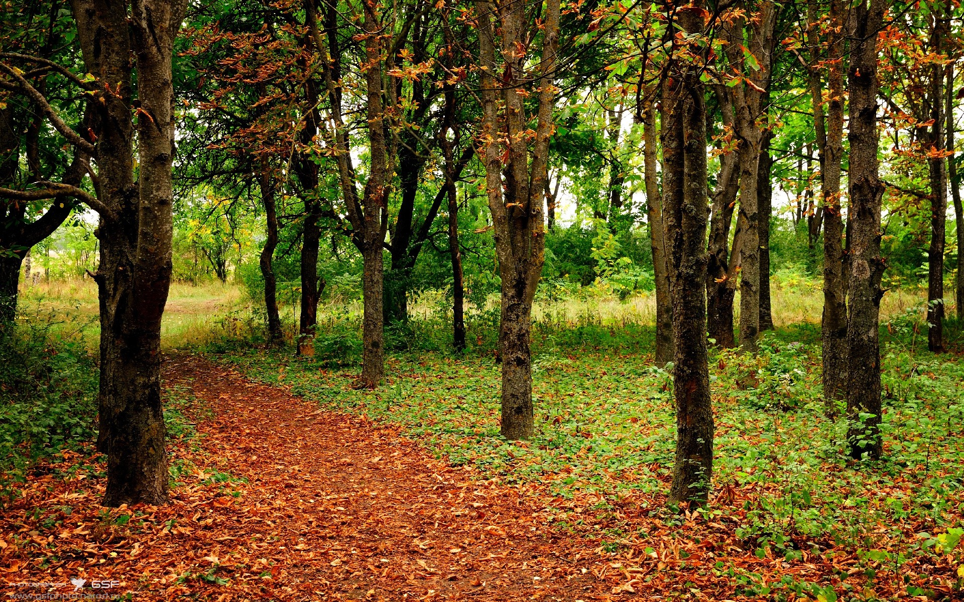 辽宁飞豹本赛季表现出色跻身强队行列，辽宁飞豹赛程表