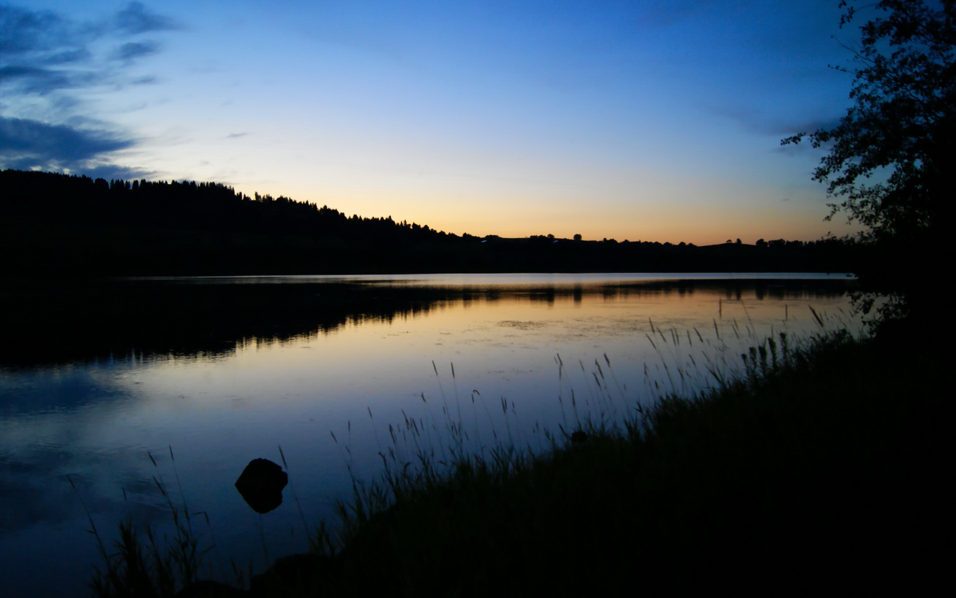 开云体育APP下载-巴西队在南美预赛中领先，晋级在望