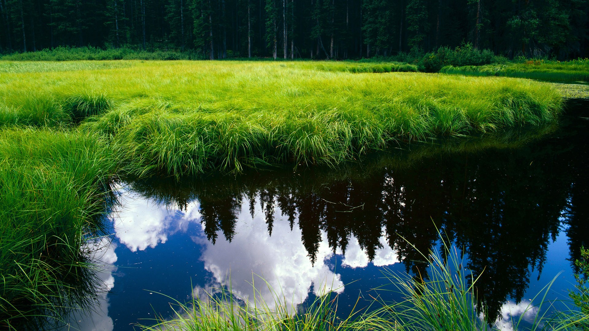 张雨霏水球训练提升体能，张雨菲训练视频
