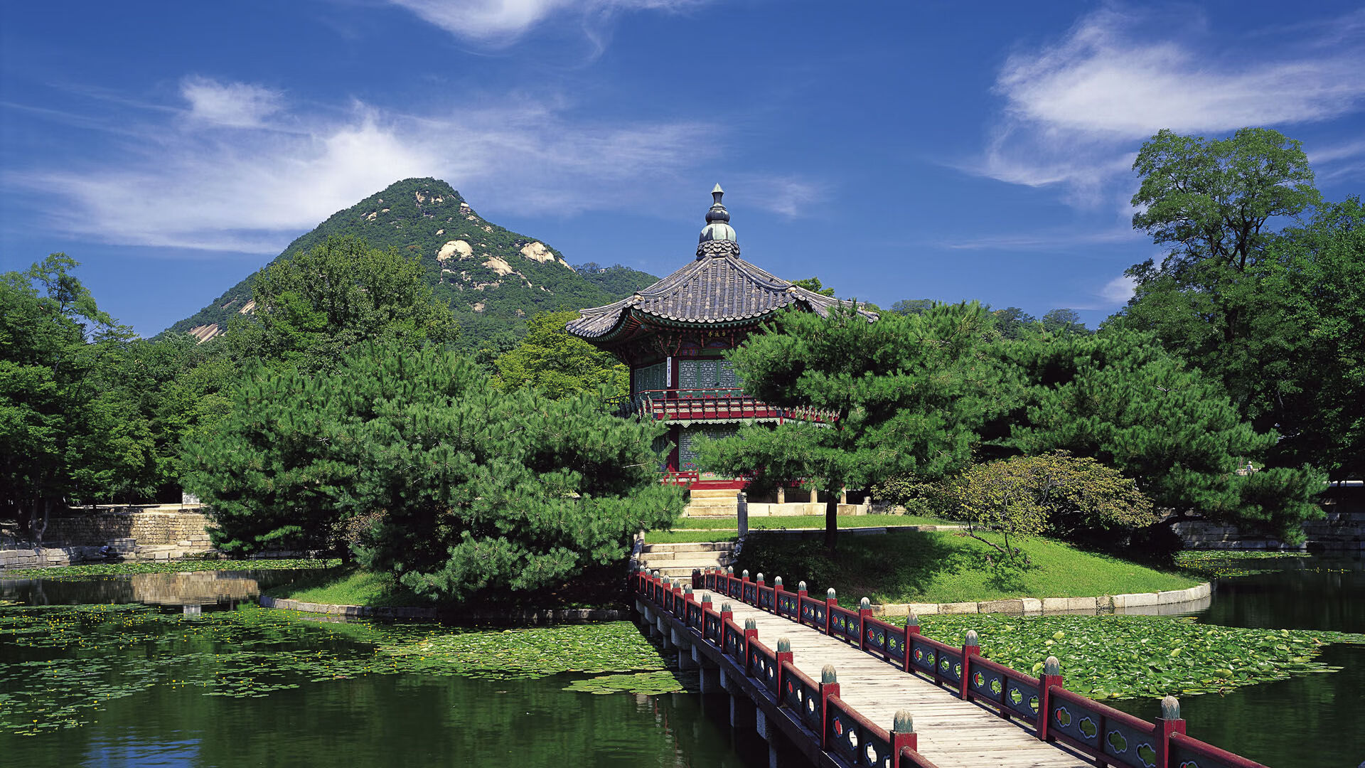 赛尔·阿尔斯塔:以强硬后排与精准抢断帮助南非队建立强大防线